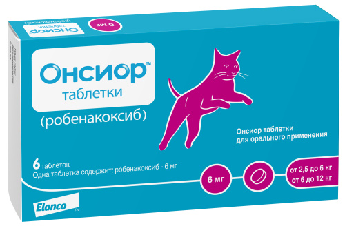 CA4875006RS