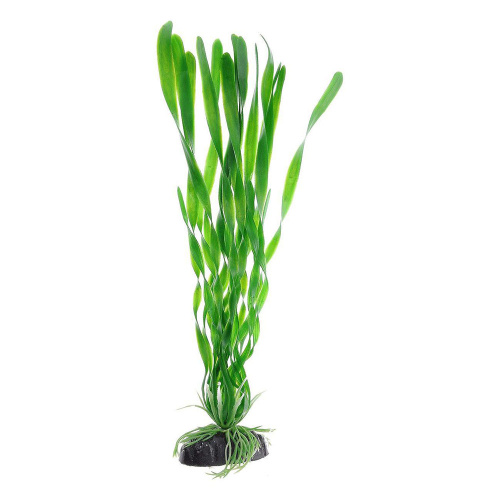 Растение Валиснерия спиральная зеленая 20см Plant 014 20