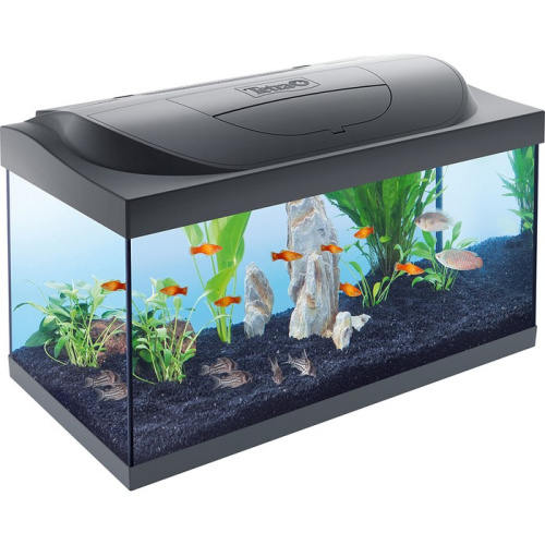 Tetra  Аквариум Starter Line LED  54л (Свет LED 10Вт + Фильтр EasyCrystal Box 300 с 2-мя картриджами